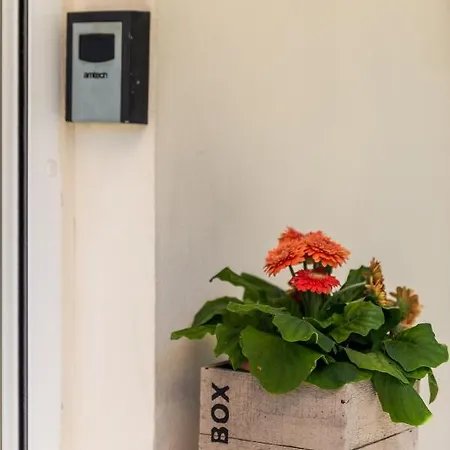 Daire Rosovic J&c Mošćenička Draga