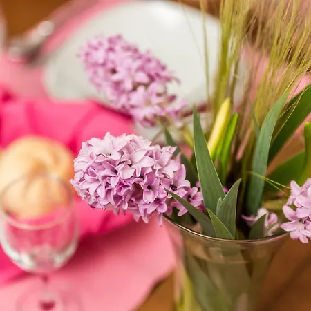 Rosovic J&c * Mošćenička Draga